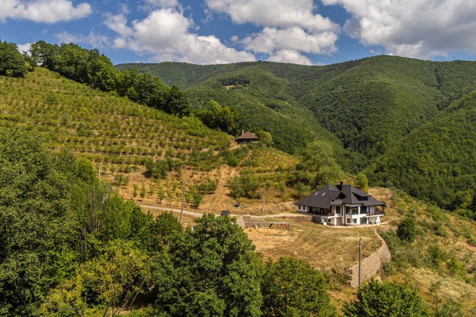 Domeniu privat de 22 hectare în Munții Apuseni, vândut de Romania Sotheby's