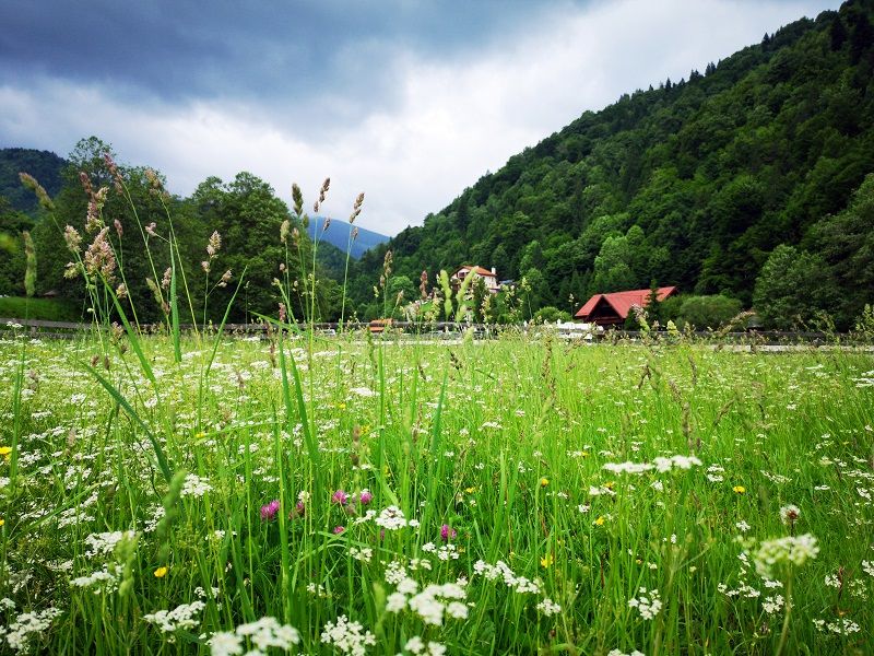 imoExpert: Casele, apartamentele și terenurile din zona Brașovului – de la investiții în case de vacanță la achiziții în scopul relocării!
