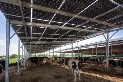 Fermele vor primi 265 mil euro nerambursabili pentru panouri fotovoltaice