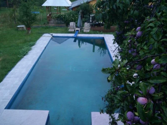 Vila cu piscina in Prahova, langa padure - 2