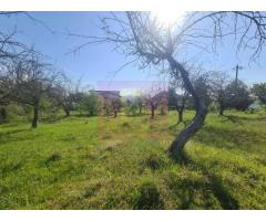 Teren de vanzare in Campina in zona retrasa - Imagine 5