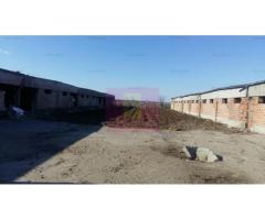 Teren Balotesti- Saftica- ideal pentru constructie locuinte.