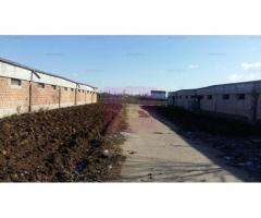 Teren Balotesti- Saftica- ideal pentru constructie locuinte. - Imagine 3