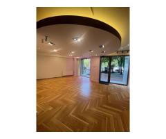 Spatiu comercial stradal Bd.Unirii stradal - Imagine 4