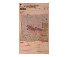Terenuri cu potențial logistic și industrial, Albota, Argeș, lângă DEx - Imagine 11
