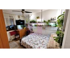 Apartament 3 camere - Nicolae Grigorescu - Imagine 2
