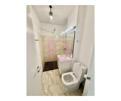 Penthouse Duplex Exclusiv |4 Camere| Bulevardul Unirii - Imagine 2