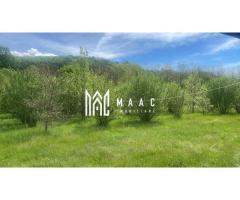 Teren extravilan 61.000 mp | Veseud, Sibiu | plantație aluni, trufe