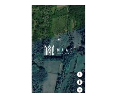 Teren extravilan 61.000 mp | Veseud, Sibiu | plantație aluni, trufe - Imagine 3