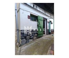 Casa de vanzare in Daia - Sibiu - Imagine 4