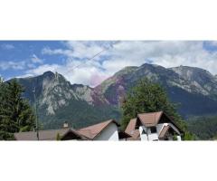 Teren 1000 mp cu view superb in Busteni - Imagine 3