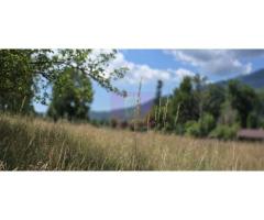 Teren 1000 mp cu view superb in Busteni - Imagine 4