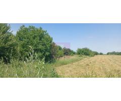 Săbăreni, teren intravilan 665 mp, aproape de DJ 602 - Imagine 3