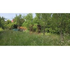 Teren 3026 de vanzare in Brebu - Imagine 2