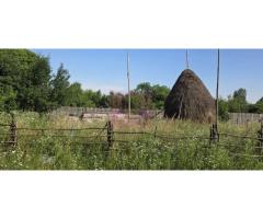 Teren 3026 de vanzare in Brebu - Imagine 3