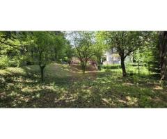 Teren exclusivist pentru dezvoltare imobiliară – Zona Furnica, Sinaia - Imagine 3