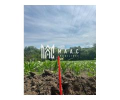 Teren intravilan 1296mp | Sibiu, Gușterița| - Imagine 2