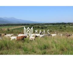 Teren extravilan de vânzare | Arpașu de Sus | 3100 mp - Imagine 2