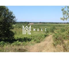Teren extravilan de vânzare | Arpașu de Sus | 3100 mp - Imagine 4