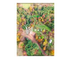 Teren extravilan agricol 1.184 mp | Sibiel | utilități la 100 m - Imagine 2