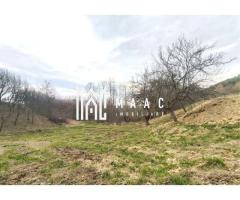 Teren extravilan agricol 1.184 mp | Sibiel | utilități la 100 m - Imagine 4