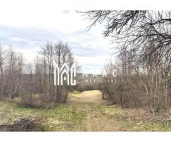 Teren extravilan agricol 1.184 mp | Sibiel | utilități la 100 m - Imagine 6