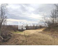 Teren extravilan agricol 1.184 mp | Sibiel | utilități la 100 m - Imagine 7