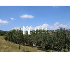 Fabrică de cherestea | Câmpeni | teren 8.000 mp