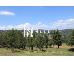 Fabrică de cherestea | Câmpeni | teren 8.000 mp - Imagine 2