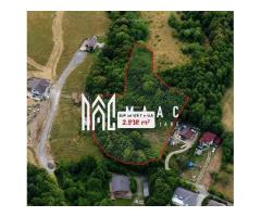 Teren intravilan 2.938 mp | Tocile, Sadu | pârâu natural