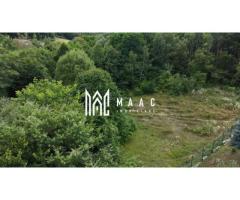 Teren intravilan 2.938 mp | Tocile, Sadu | pârâu natural - Imagine 3