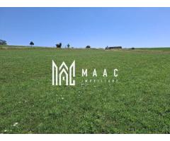 Teren extravilan agricol 3.800 mp | Bungard | 3 căi de acces - Imagine 7