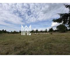 Teren intravilan de vanzare I 1990 mp I Valea Avrigului – lângă Cabana Aris - Imagine 2