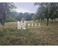 Casă 1 cameră de vânzare | Rădăcinești, Vâlcea | 5500 mp teren - Imagine 8