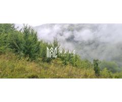 5000 teren in Muntii Apuseni I Pregatit pentru constructie - Imagine 2