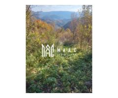 5000 teren in Muntii Apuseni I Pregatit pentru constructie - Imagine 9