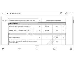 Teren intravilan I 19.235 mp I Front 79 m I Industrial Vest - Imagine 4