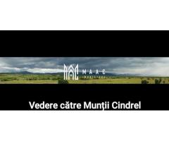 Casă 5 camere de vânzare | Sibiu, Turnișor | 550 mp, piscină - Imagine 11