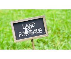 Teren extravilan 5800 mp | Bungard, Sibiu | formă dreptunghiulară - Imagine 3
