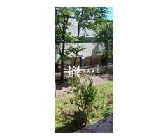 Apartament 2 camere | 44 mp | Zona Mihai Viteazu | Etajul 1 - Imagine 3