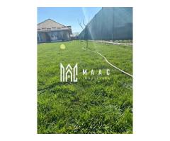 Casă individuală I 4 camere I Teren 1000mp I Grădiștea-Ilfov - Imagine 10