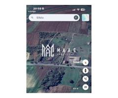 Teren intravilan | 20.000 MP | Parcelabil | Daia - Imagine 4