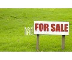 Teren intravilan | 20.000 MP | Parcelabil | Daia - Imagine 5