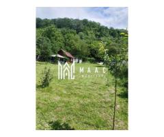 Teren 1040 mp +cabana | Goranu | - Imagine 3