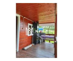 Teren 1040 mp +cabana | Goranu | - Imagine 4
