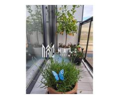 Apartament 3 Camere | Decomandat | 2 Balcoane | Doamna Stanca - Imagine 5