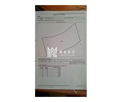 Teren Berislavesti | 140.000 mp | padure |
