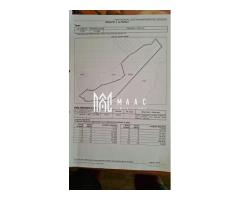Teren Berislavesti | 140.000 mp | padure | - Imagine 2