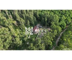 Casa Bulevard Dem Radulescu | 150 mpu | 500 m teren | - Imagine 4