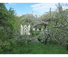 Casa 3 Camere De Renovat I Teren 700 MP I Poiana Sibiului - Imagine 5